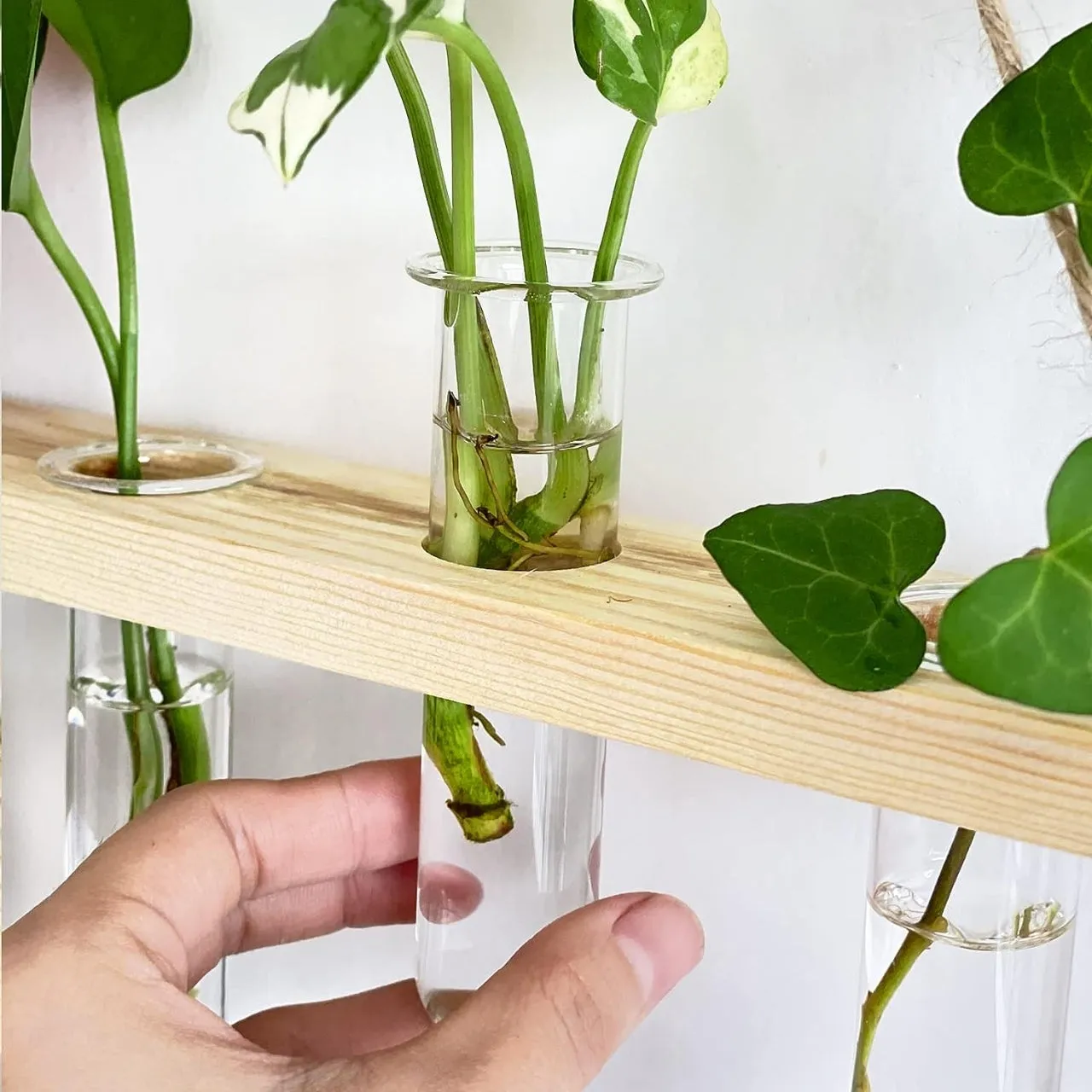 1-Tier Wall Hanging Test Tube Planter.