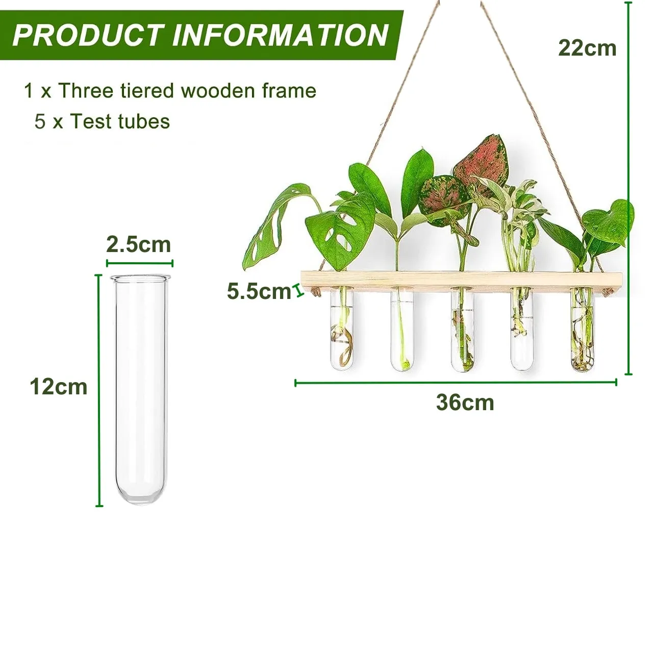 1-Tier Wall Hanging Test Tube Planter.