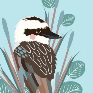 Aero Images: Greeting Card Kookaburra