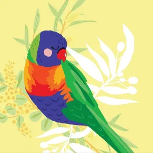 Aero Images: Greeting Card Rainbow Lorikeet