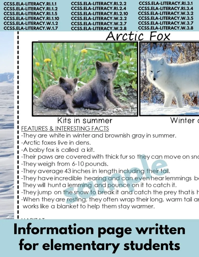 Arctic Fox Animal Research Pages for animal research paper