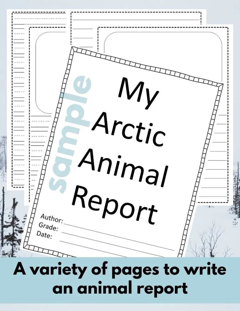 Arctic Fox Animal Research Pages for animal research paper