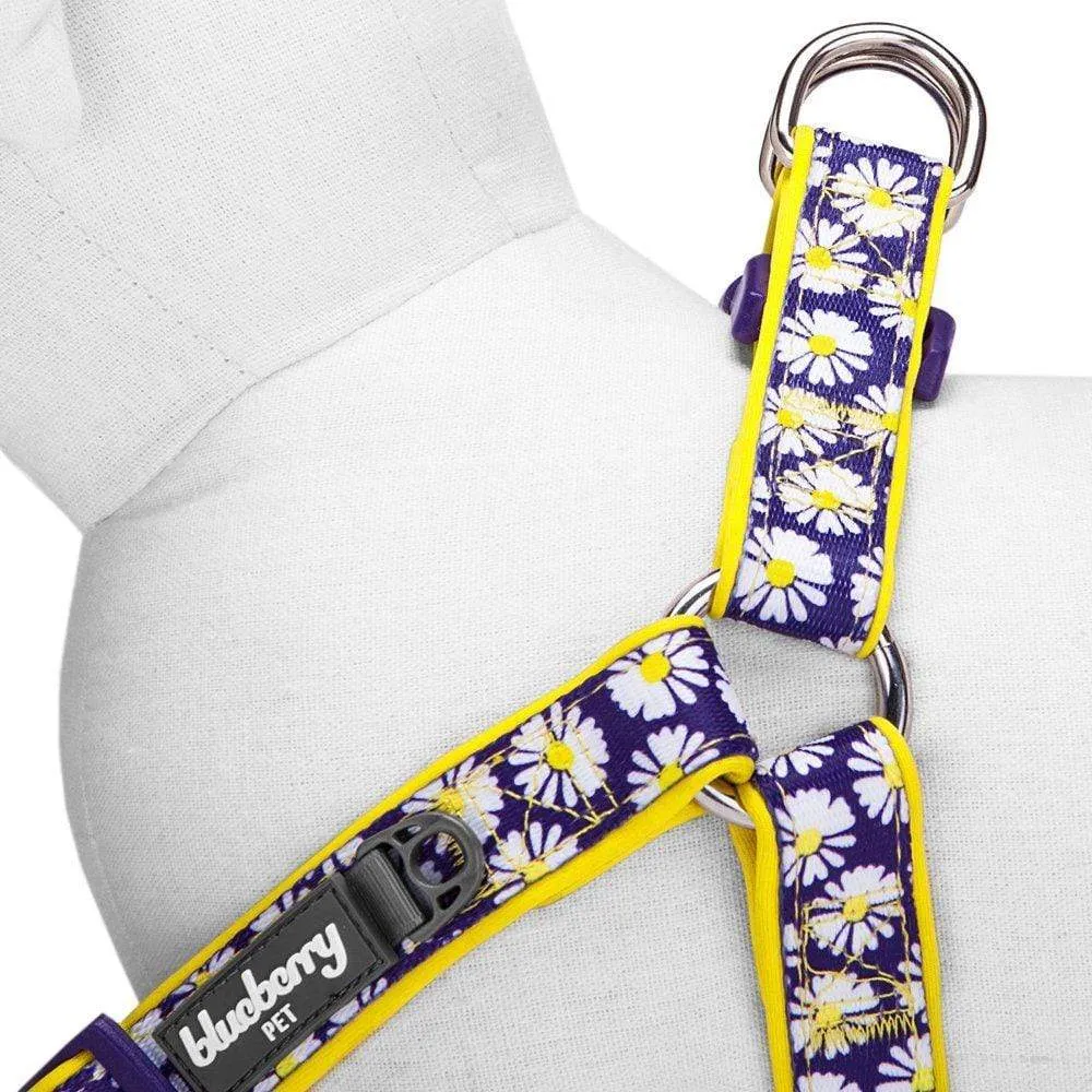 Floral Prints Neoprene Padded Dog Harness