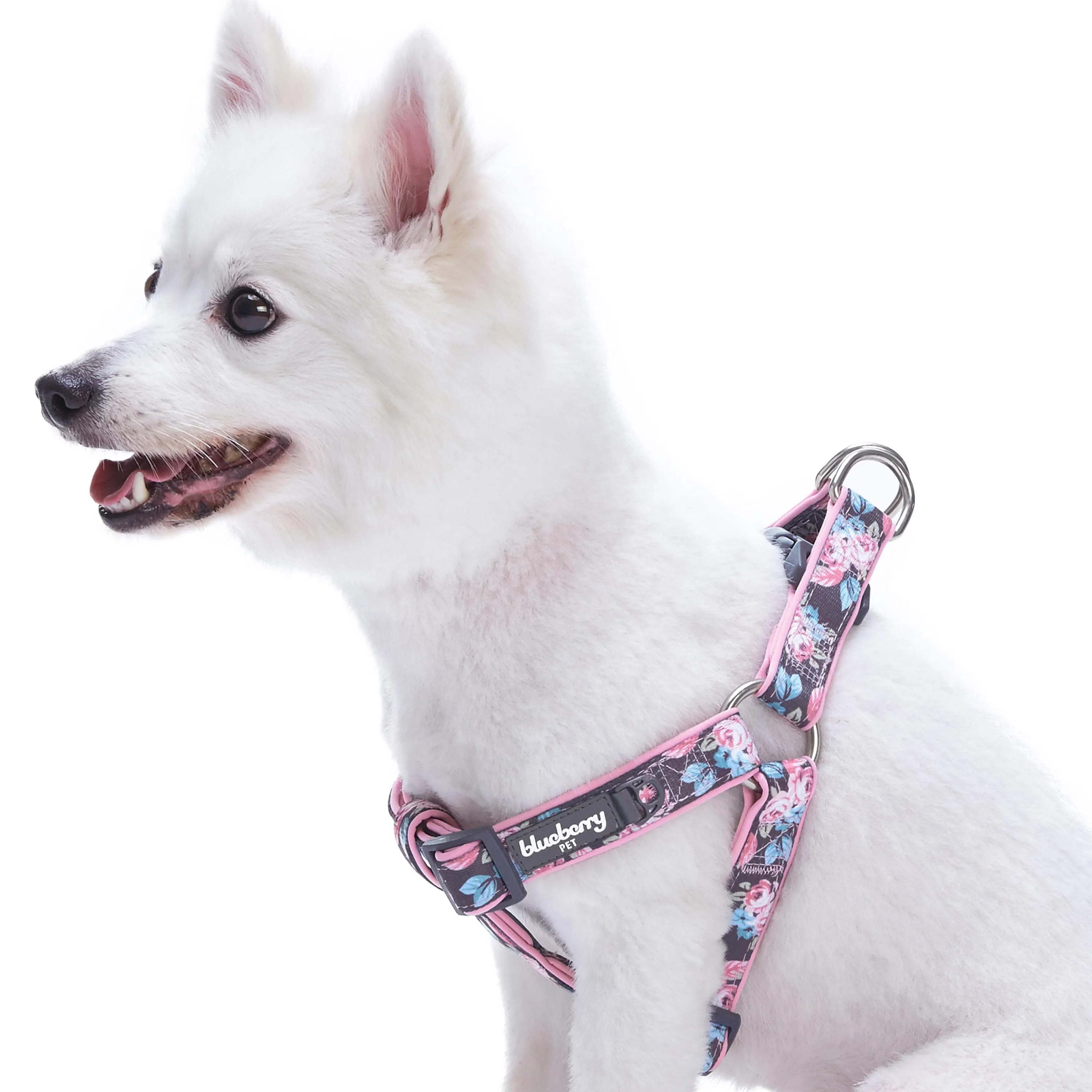 Floral Prints Neoprene Padded Dog Harness