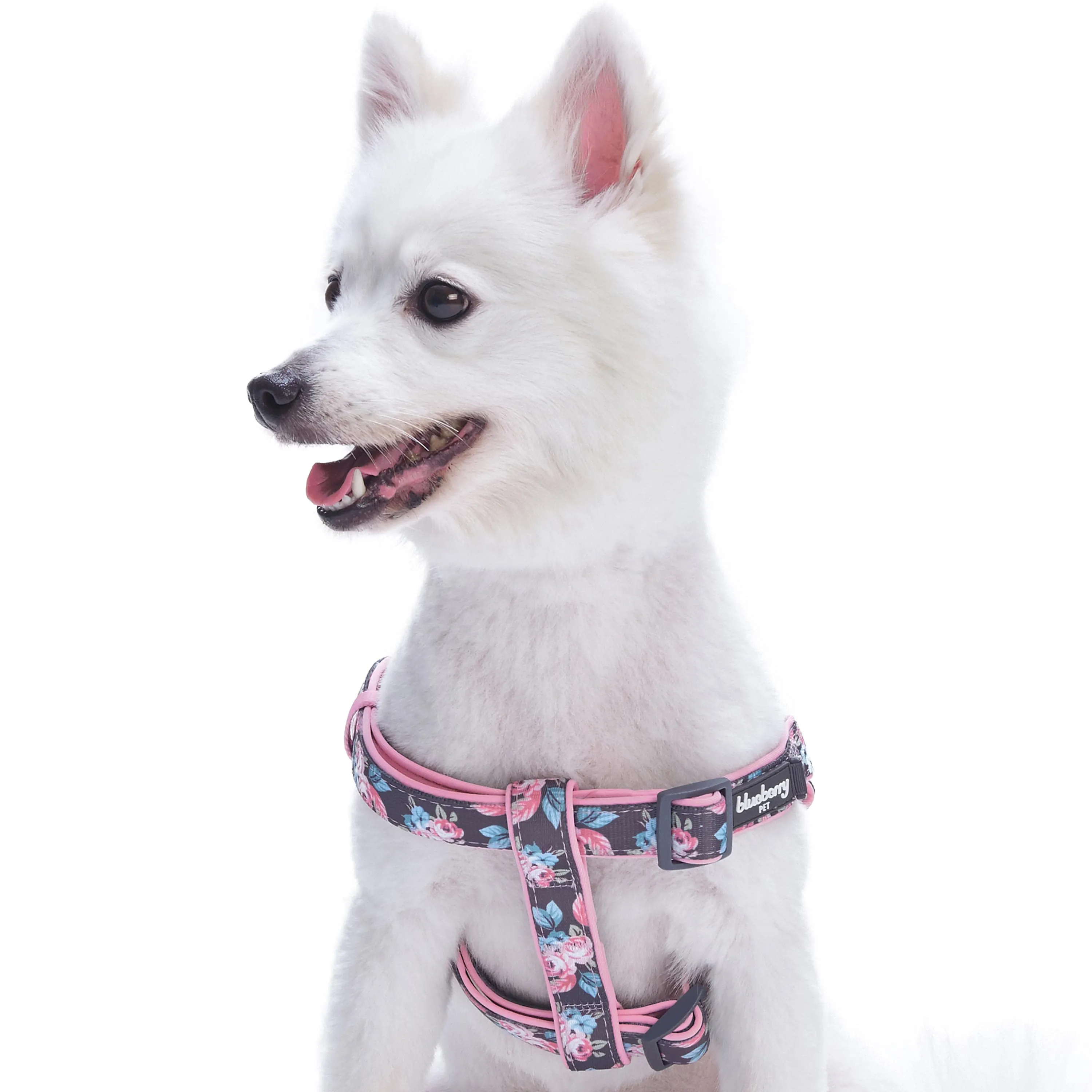 Floral Prints Neoprene Padded Dog Harness