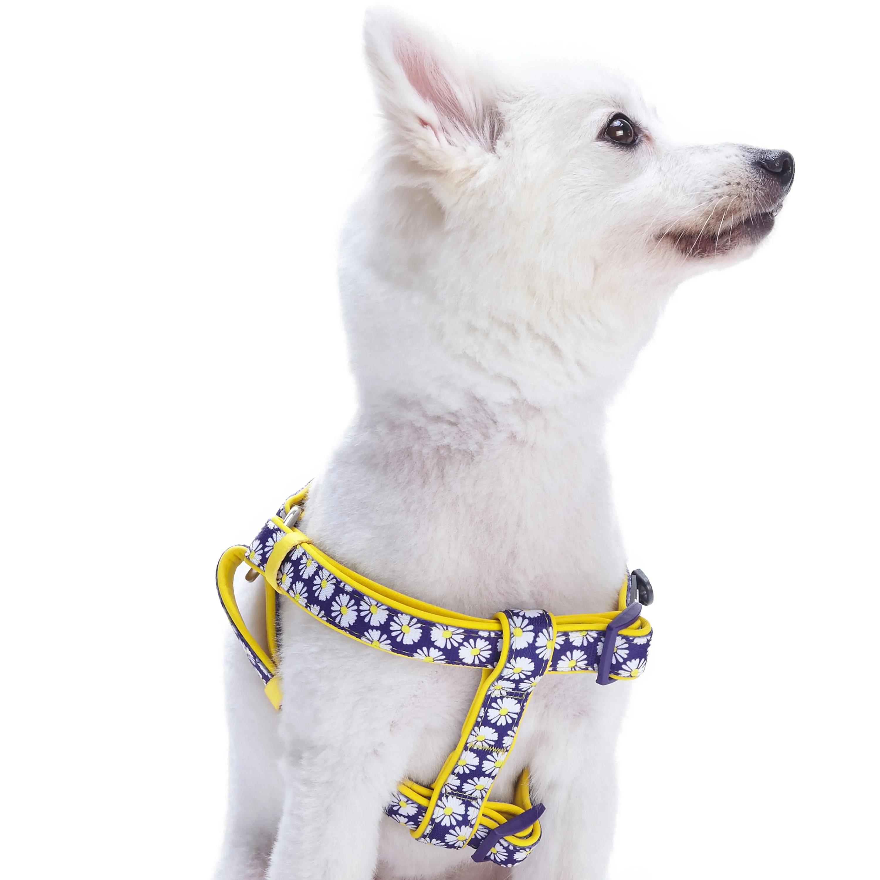 Floral Prints Neoprene Padded Dog Harness