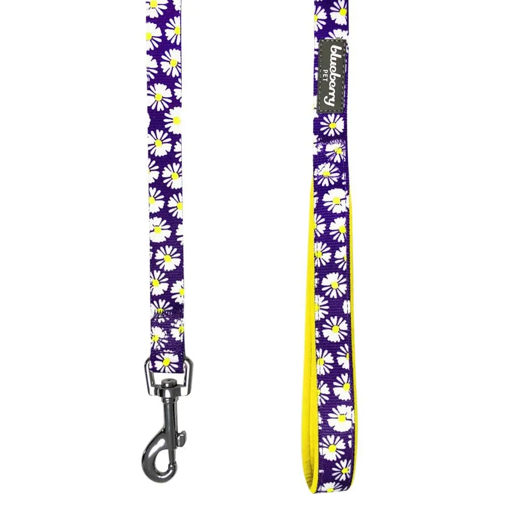 Flower Print Girly Dog Leash