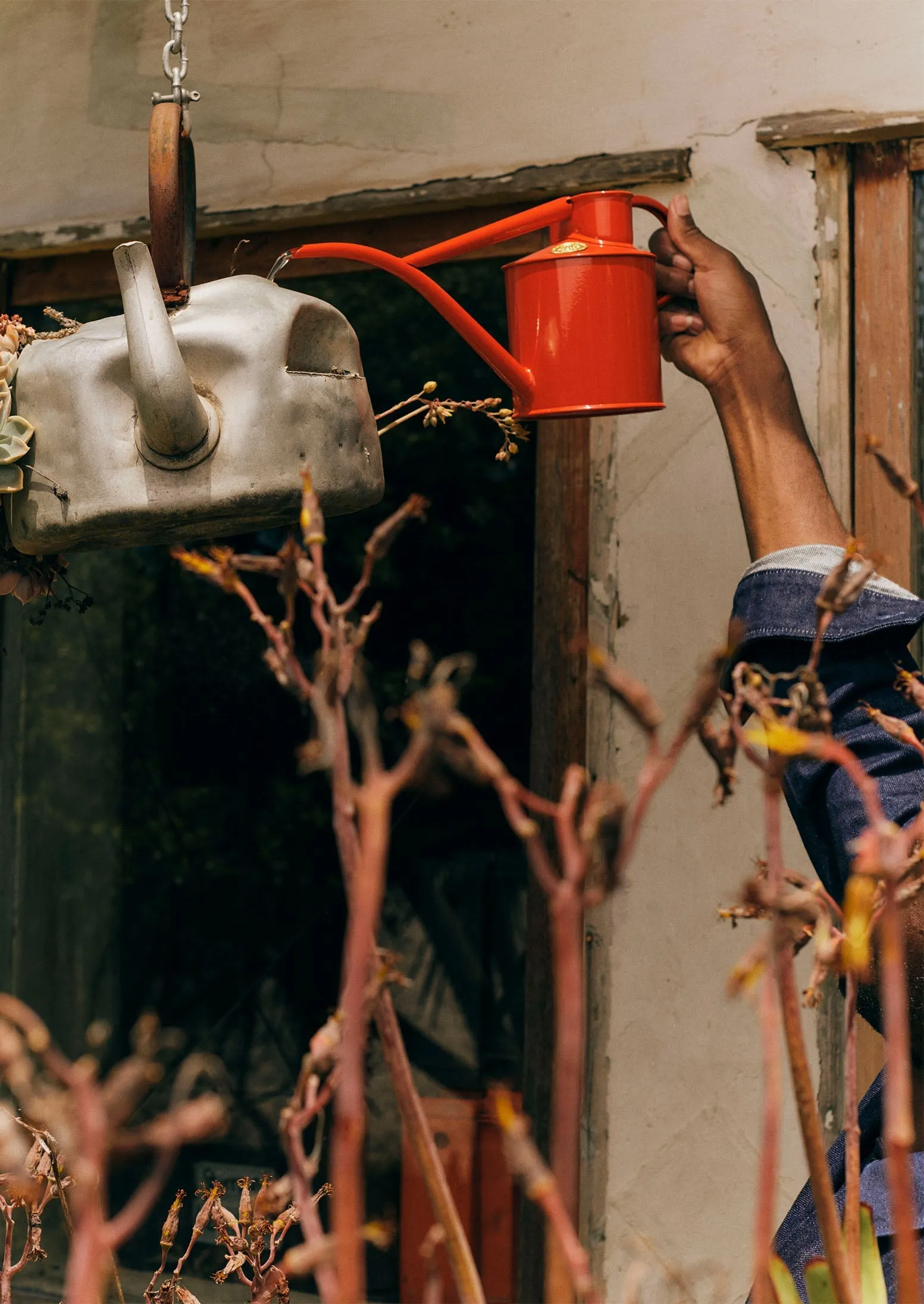 Haws Fazeley Flow Indoor Watering Can | Nasturtium