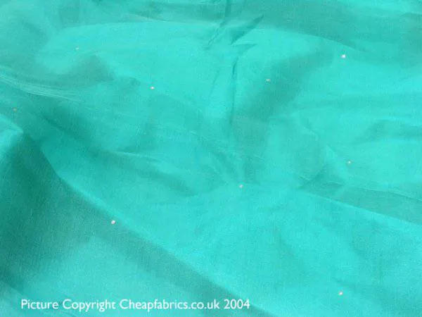 Pure Silk Organza with Crystals