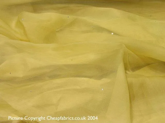 Pure Silk Organza with Crystals